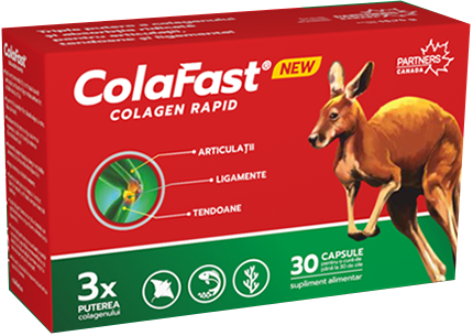 6 x ColaFast® Colagen Rapid